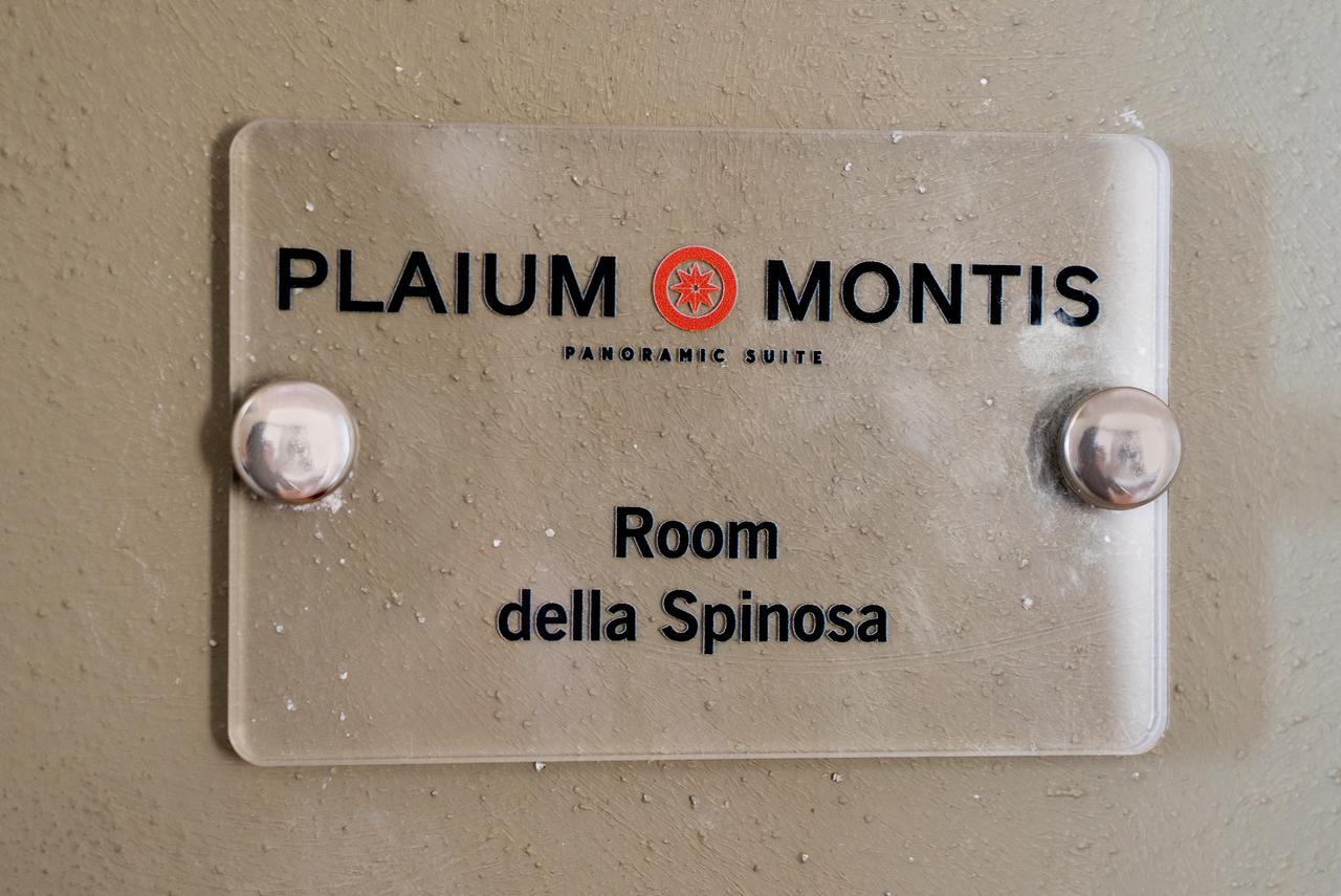 Plaium Montis Bed & Breakfast Salerno Exterior foto
